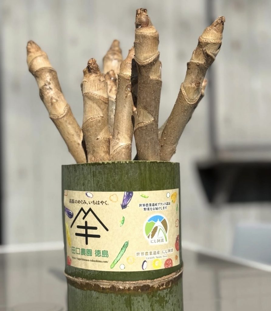 みかも喫茶のサラダ