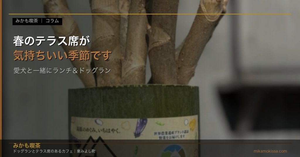 春のテラス席で愛犬と一緒にランチ - みかも喫茶（東みよし町）