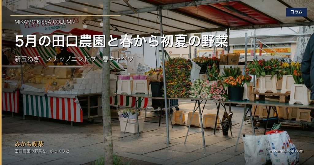 5月の田口農園、春から初夏への切り替え|みかも喫茶のランチでお出ししている野菜 アイキャッチ画像