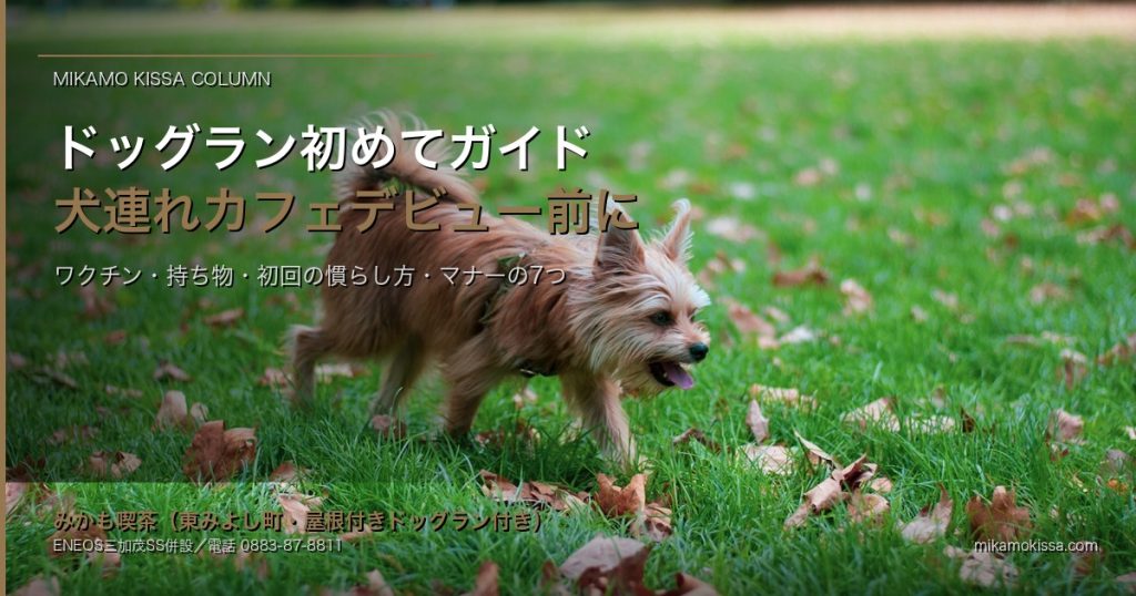 みかも喫茶のドッグラン初めてガイド|徳島・東みよし町で犬連れカフェデビュー前に知 アイキャッチ