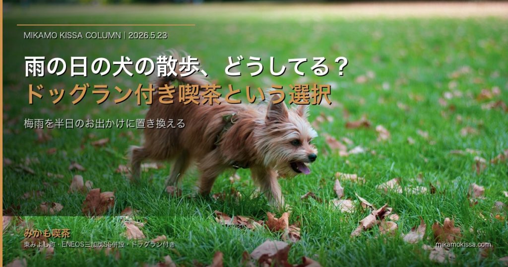 雨の日の犬の散歩、どうしてる?|徳島の梅雨、ドッグラン付き喫茶を「散歩の代わり」に使う半日プラン|みかも喫茶 アイキャッチ