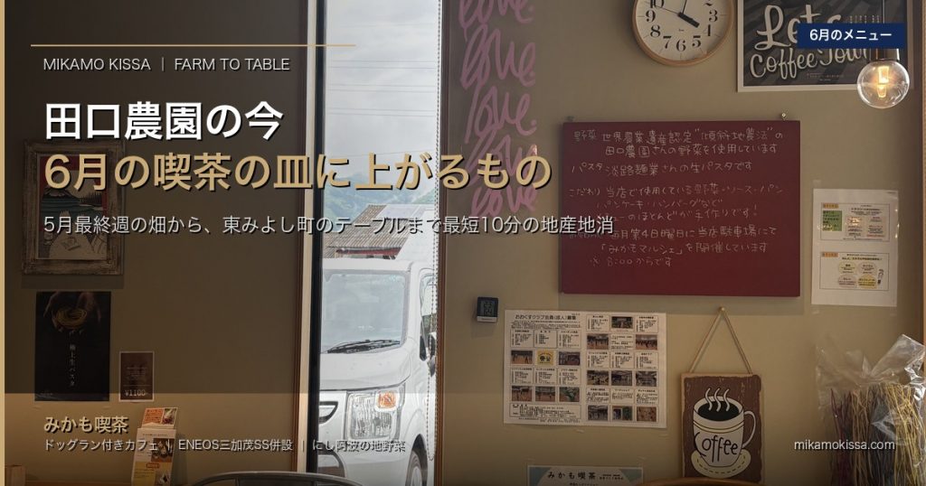 2026年5月最終週・田口農園で「今」収穫されている野菜と、6月のみかも喫茶ランチに上がるもの|東みよし町の畑からテーブルまでの最短動線 アイキャッチ