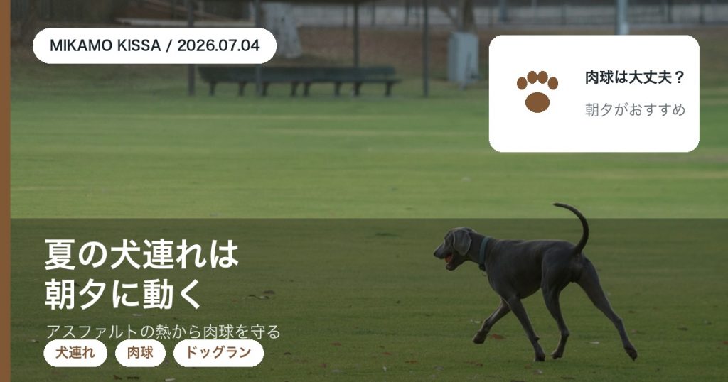 夏の犬連れおでかけで肉球を守る時間選びをドッグランのあるみかも喫茶が紹介するアイキャッチ