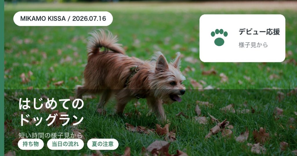 初めてのドッグランデビューの流れと慣らし方をドッグランのある東みよし町のみかも喫茶が紹介するアイキャッチ