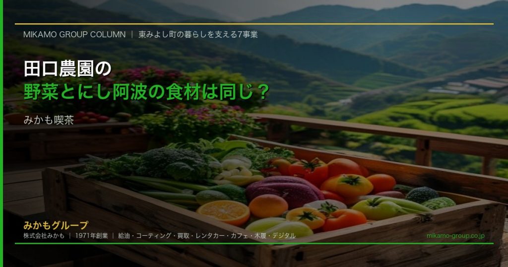 地元野菜を使ったランチプレートとテラス席から見える東みよし町の山並み