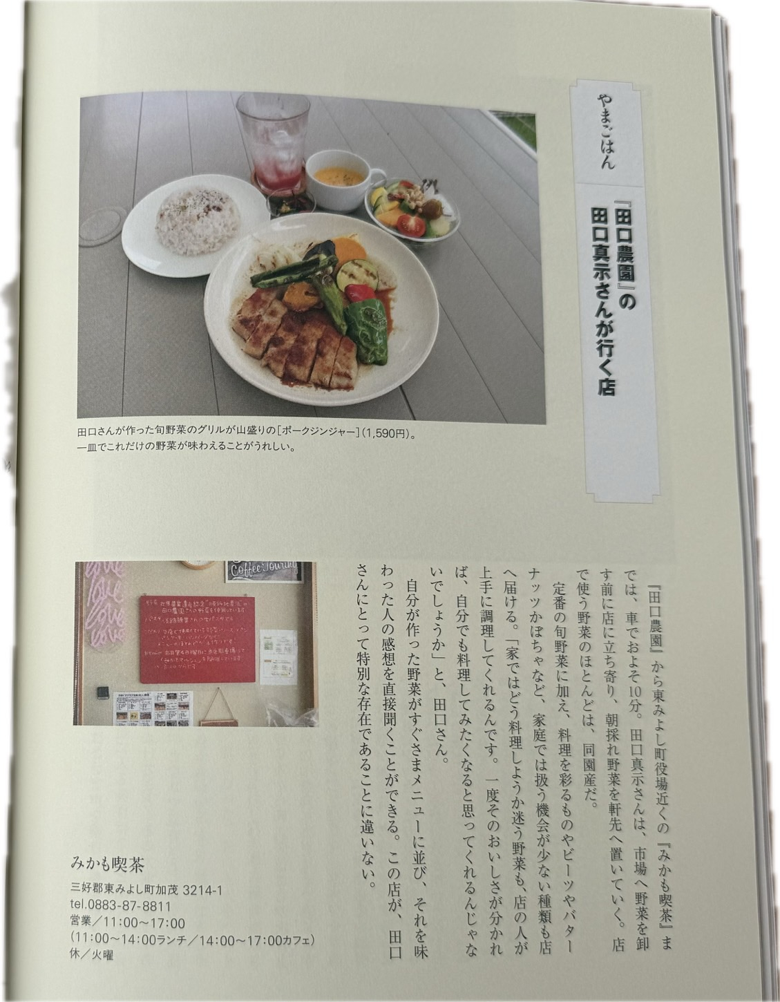『めぐる、』の「やまごはん」に掲載された、野菜を添えたみかも喫茶の料理と店舗紹介