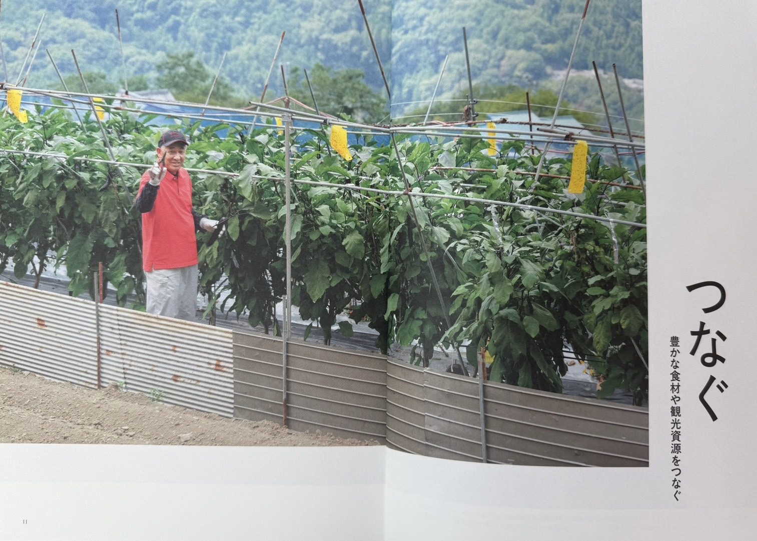 『めぐる、』の「つなぐ」の誌面に掲載された、野菜が育つ田口農園の畑